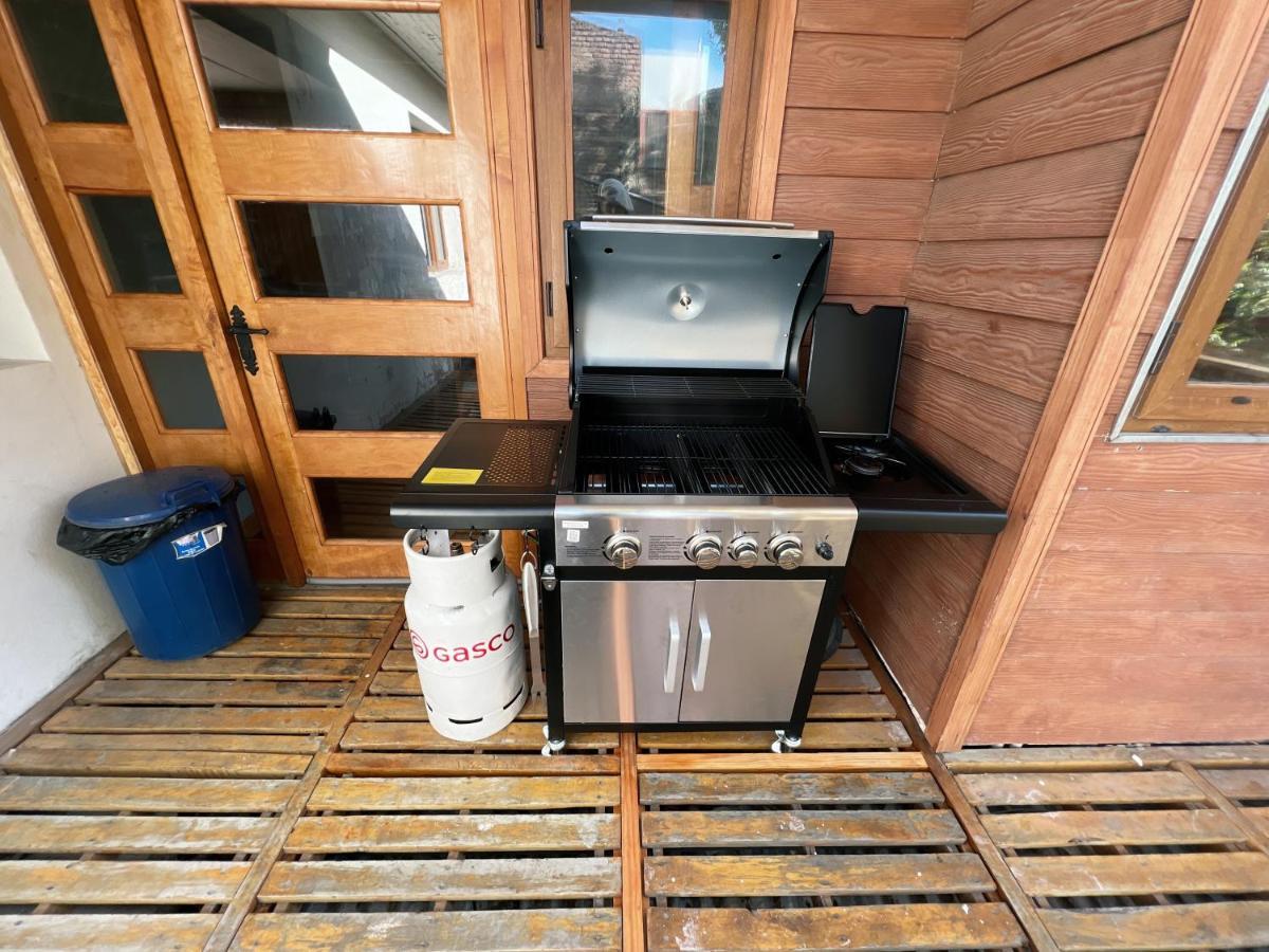 プンタアレナスIncredible Downtown Duplex With Interior Backyardアパートメント エクステリア 写真